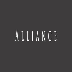 Alliance (feat. Leveller Beats)