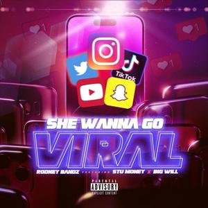 She wanna go viral (feat. Stu Money & Big Will) [Explicit]