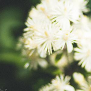 late night afternoon