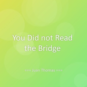 You Did not Read the Bridge