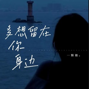 多想留在你身边