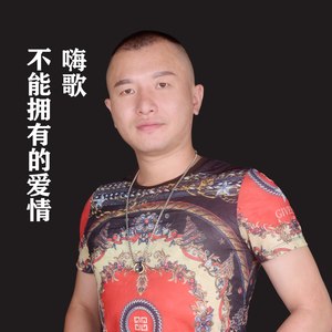 不能拥有的爱情