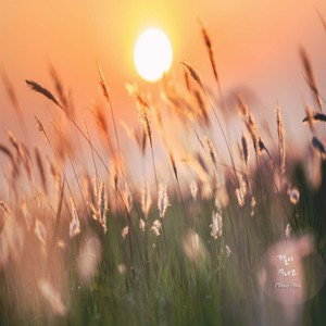 햇살 가득히 (充满阳光)