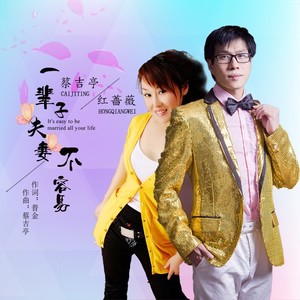 一辈子夫妻不容易 (DJ版)