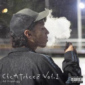 Cicatricez, Vol. 1 (Explicit)