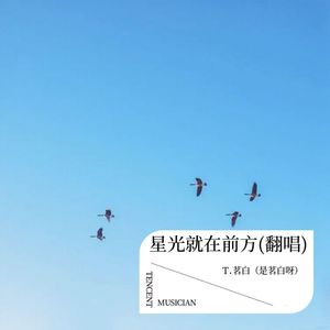 星光就在前方