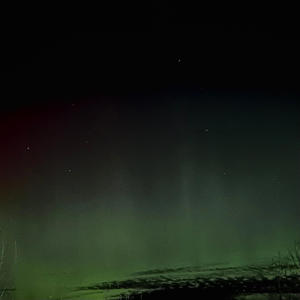 WH#N ! |]!£ (Explicit)