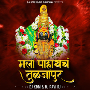 Mala Pahaych Tuljapur (DJ Remix)