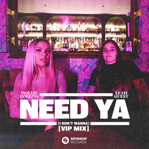 Need Ya (I Don't Wanna) (VIP Mix)