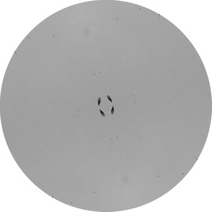 May Day (Original Mix)