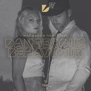 Dangerous Behaviour (Original Mix)