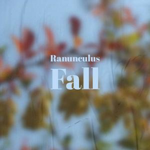 Ranunculus Fall