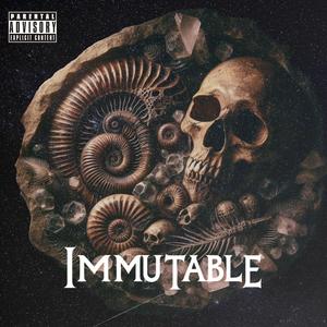 Immutable (Explicit)