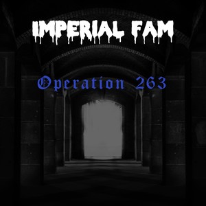 Operation 263 (Explicit)