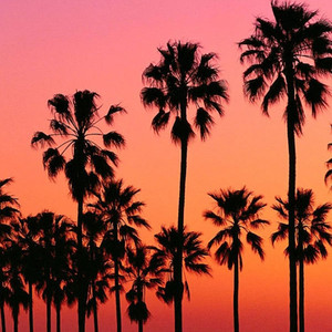 CALIFORNIA DREAMING (Explicit)