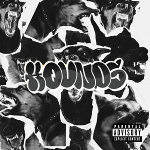 HOUNDS (feat. BRODYNEXTDOOR & A$AD) (Explicit)