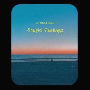 stupid feelings (Explicit)