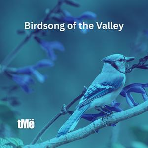 Birdsong Of The Valley