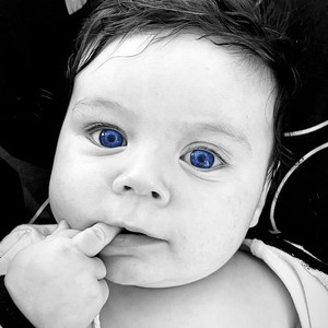 Meet The Plug (Explicit)