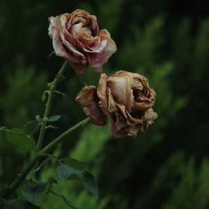 Rotten 2 Da Core (Explicit)