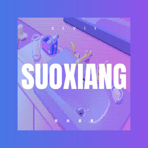 所向披靡 (Remix)