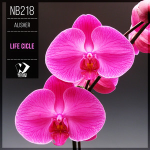 Life Cicle (Original Mix)