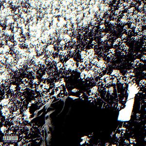 Reverse Planet (feat. Matic, Mark Ecko & Pamella) (Explicit)
