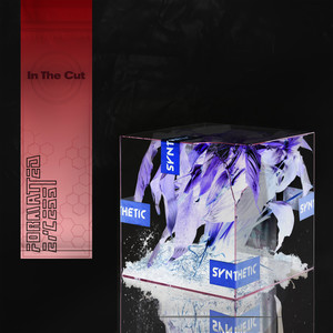 In The Cut (Explicit)