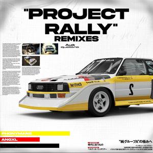PROJECT RALLY (speed up)