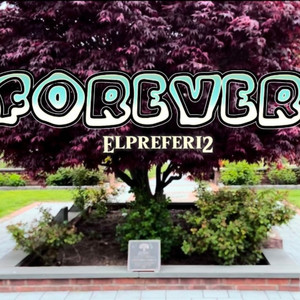 Forever (Explicit)