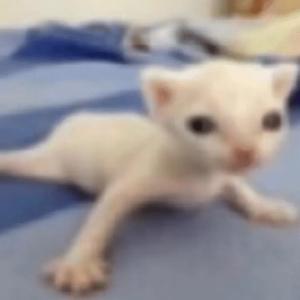 la paja (feat. zlidzinho)