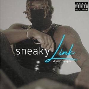 Sneaky Link (Explicit)