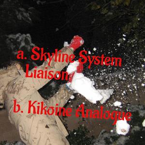 Skyline System Liaison