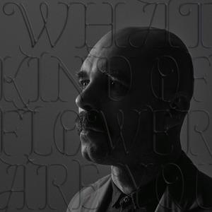 THERE IS A PLEASURE (feat. Tomasz Mreńca)