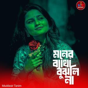 মনের ব্যাথা বুঝলি না