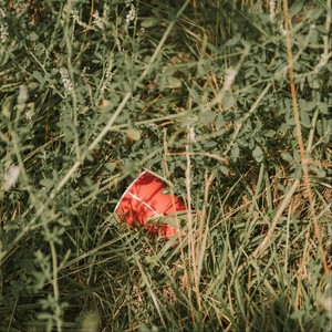 In My Vans(feat. Heyayekayy) (Explicit)