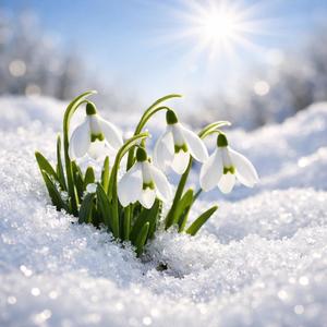 The song of the little snowdrop