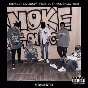 Vagando (feat. Lil Crazy, Frostboy, Rick Grizz & DCM) [Explicit]