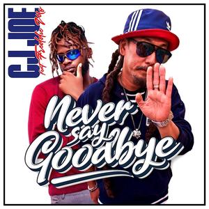 Never Say Goodbye (feat. Freddie Mo)