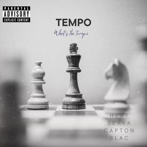 tempo (feat. Heat Seaka) [Explicit]