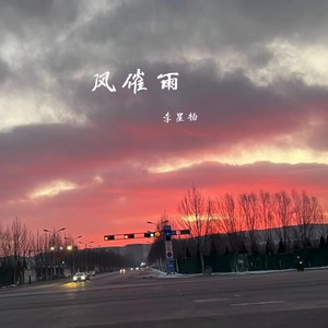 风催雨