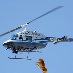 my dog licked my feet so i threw him out a helicopter without at parachute (feat. IHYSpider & 2SPED) (Explicit)