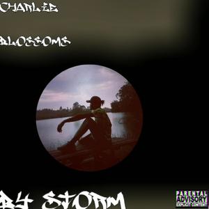 BY STORM (enjoyment) [Explicit]