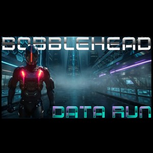 Data Run