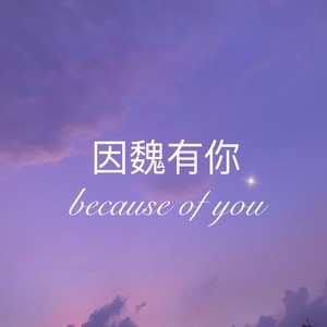 因魏有你
