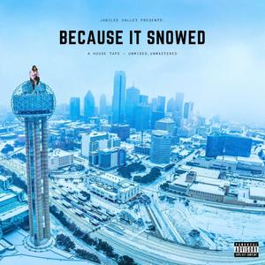 Because it Snowed (Explicit)