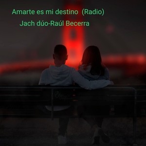 Amarte Es Mi Destino (Radio)