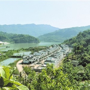 流浪少女 - 胡坝将将好