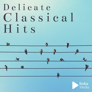 Delicate Classical Hits