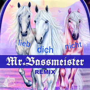 lieb dich nicht (Mr.Bassmeister Remix)